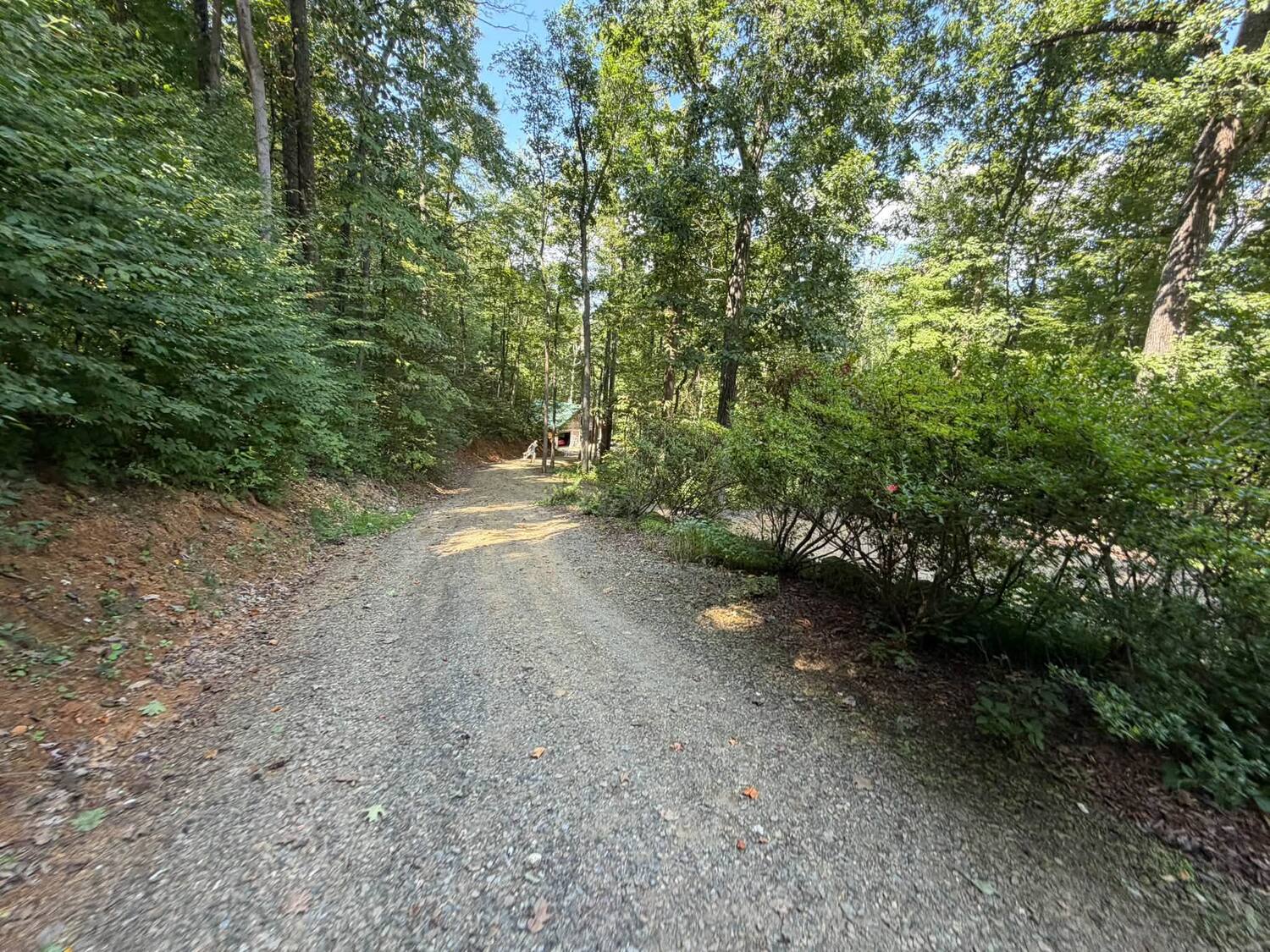 Long gravel driveway through the woods to a rural cabin served by a point-to-point wireless link