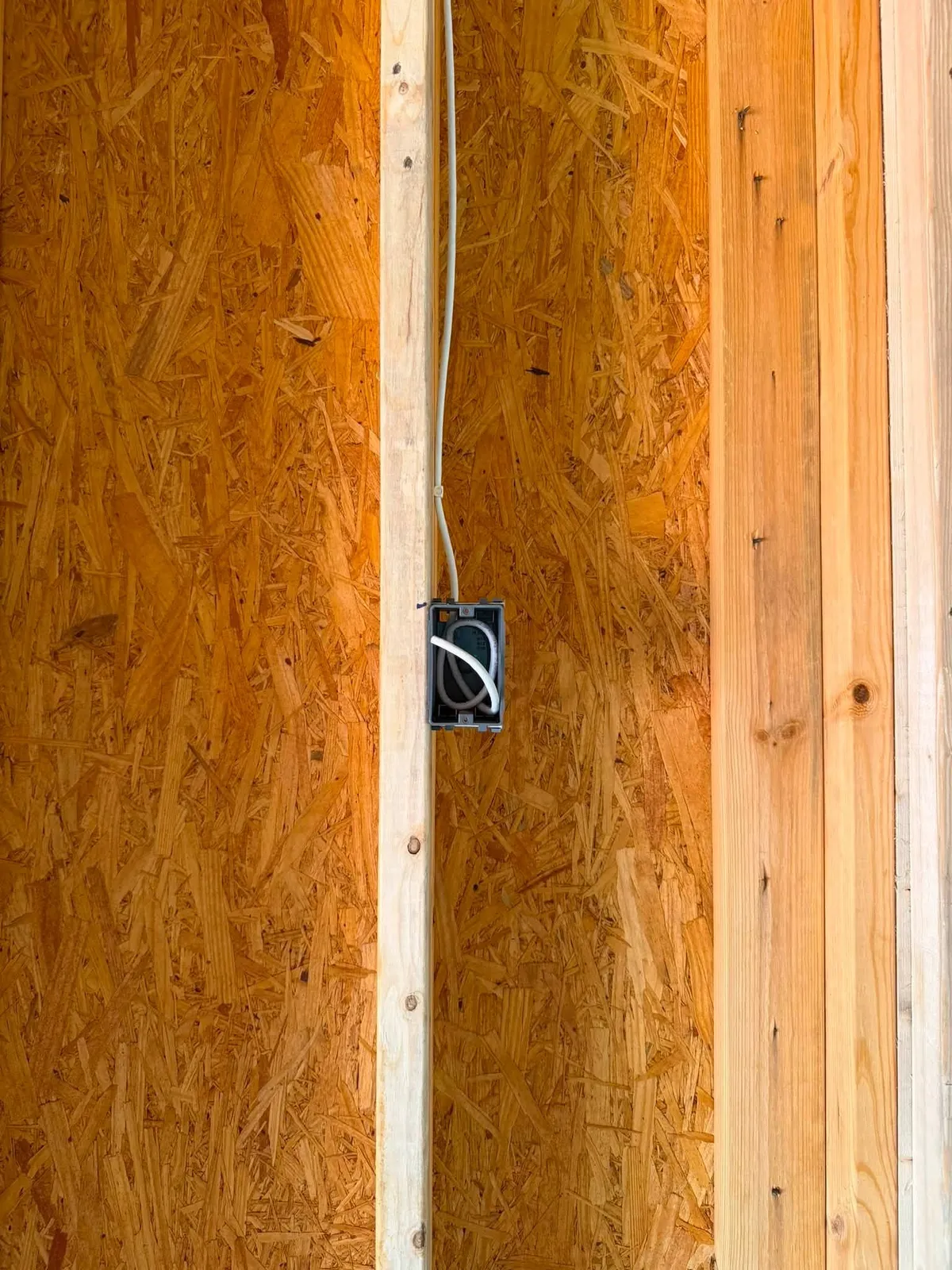 Ethernet wall box with cable drop installed during framing in Rocky Mount VA